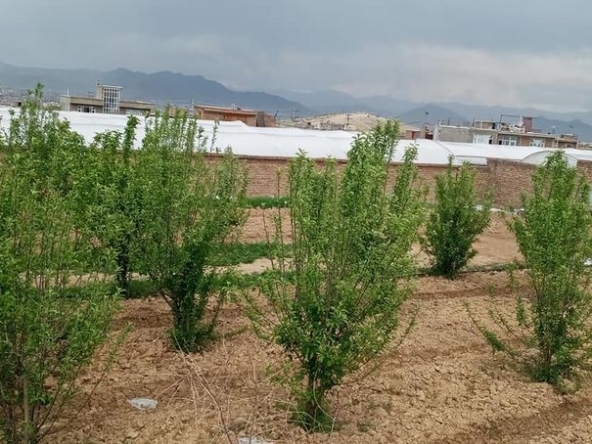 Large land for sale in Dasht-e-Barchi, Kabul