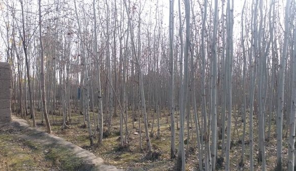6 Beswa of land for Sale in Takhar Afghanistan