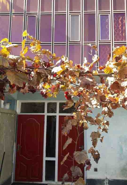 Two-Floor House for Sale in Chehel Soton Kabul