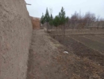 Garden and House is for Sale in Balkh Province Afghanistan