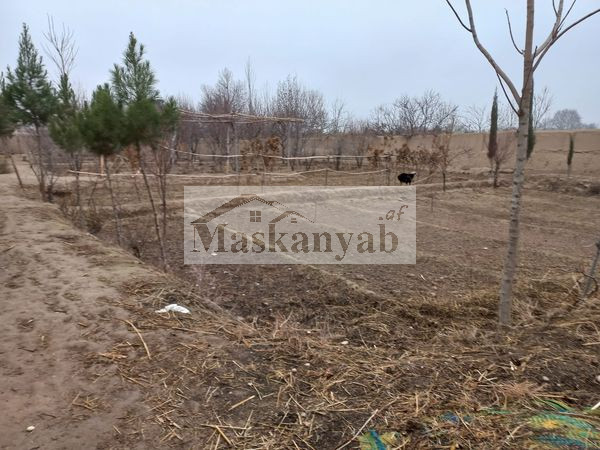Garden and House is for Sale in Balkh Province Afghanistan