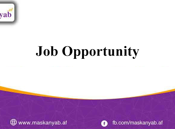Job Opportunity at Maskanyab.af