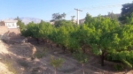 Garden for Sale in Qargha, Kabul