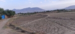 Land for Sale in Qargha