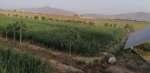 10 Acre Land for Sale in Shakar Darra, Kabul