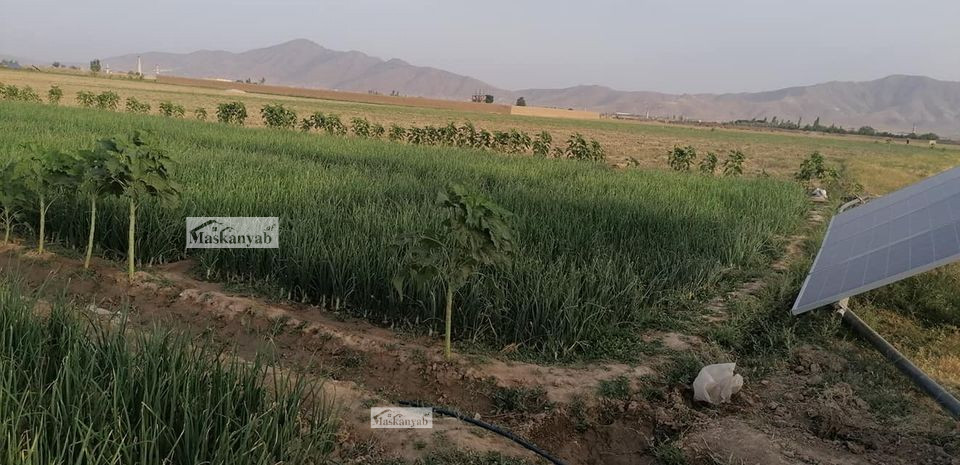 10 Acre Land for Sale in Shakar Darra, Kabul