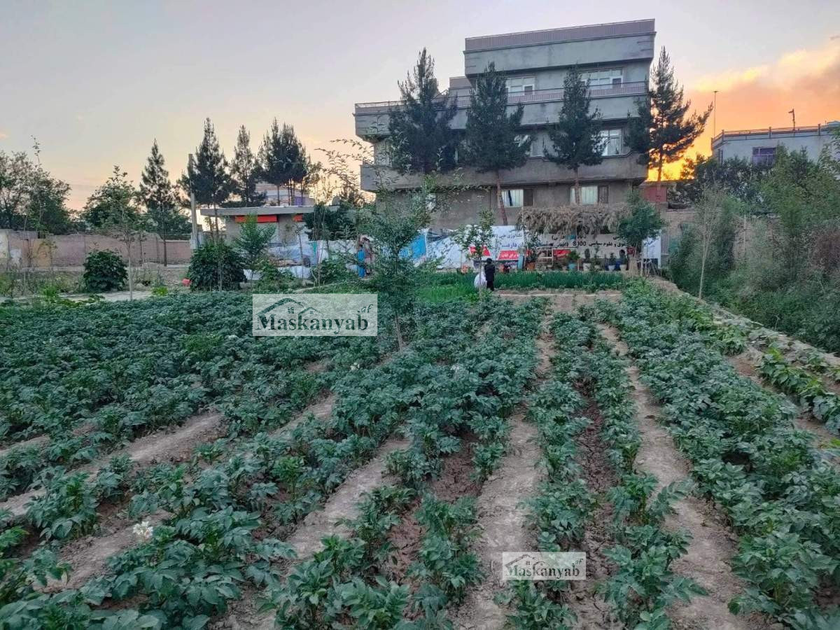 Big house for sale in Ahmad Shah Baba Mina, Arzan Qimat