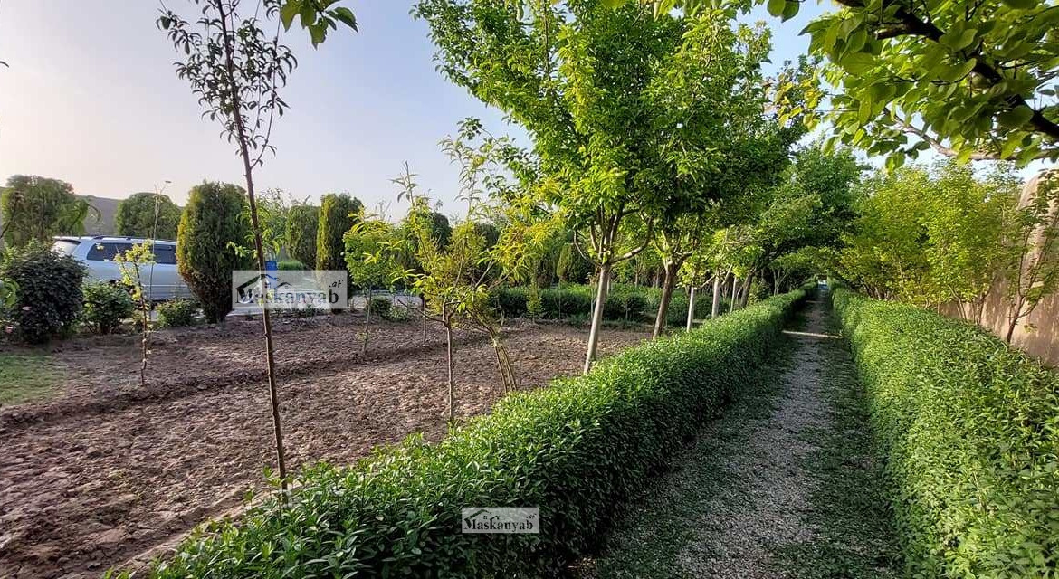 Garden for sale in Hashimi Road, Herat province.