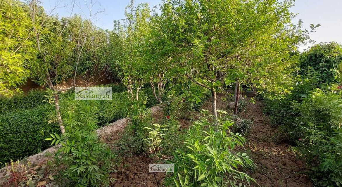 Garden for sale in Hashimi Road, Herat province.