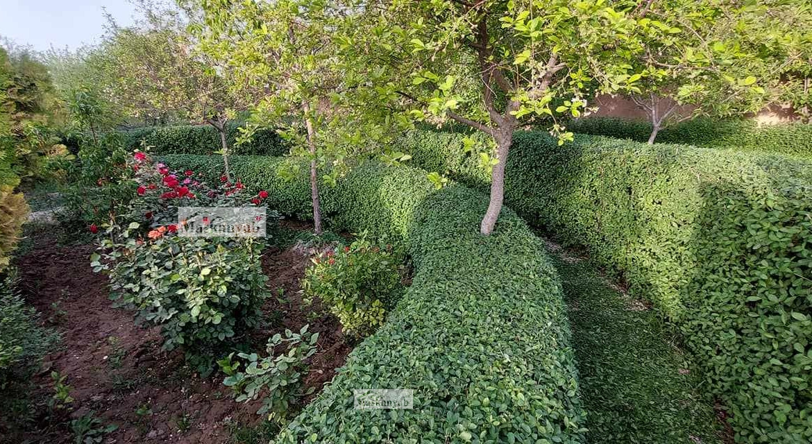 Big garden for sale in Hashimi road, Herat