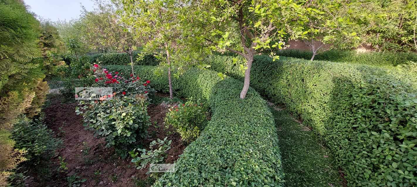 Big garden for sale in Hashimi road, Herat