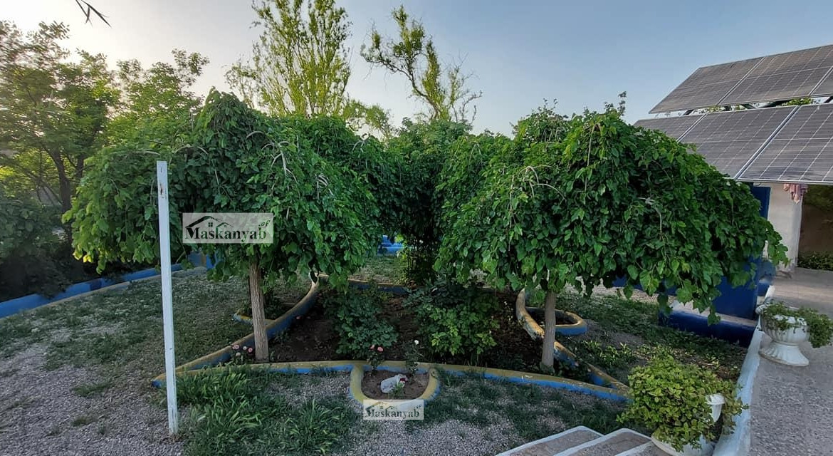 Garden for sale in Hashimi Road, Herat province.