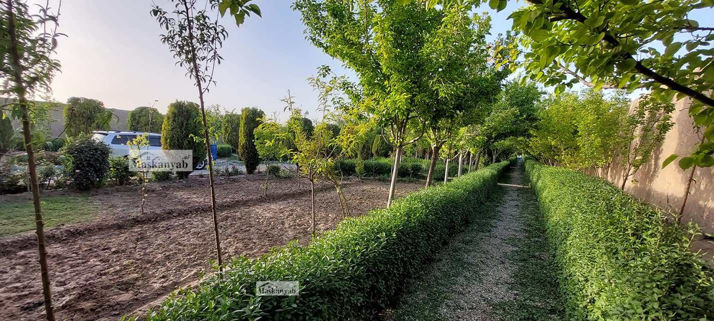 Garden for sale in Hashimi Road, Herat province.