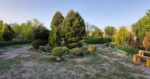 Big garden for sale in Afghanistan