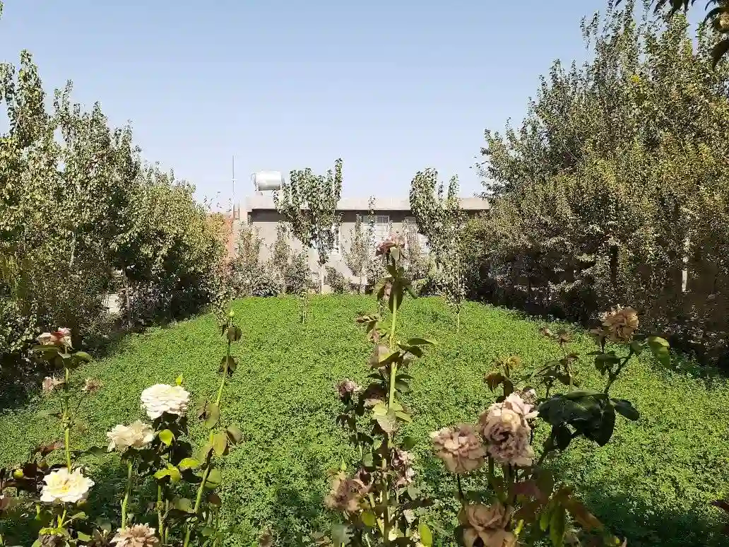 Garden for sale in Ghaibatan, Herat