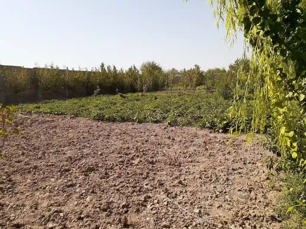 Garden for sale in Herat Province