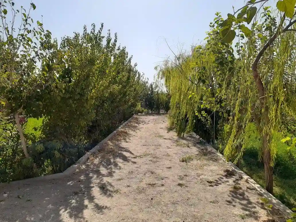 Garden for sale in Herat Province