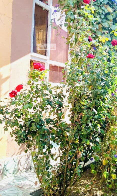 Beautiful house for sale in district 10, Kabul