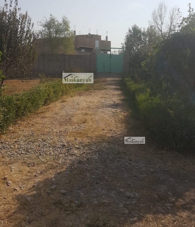Big garden for sale in Herat province, Afghanistan