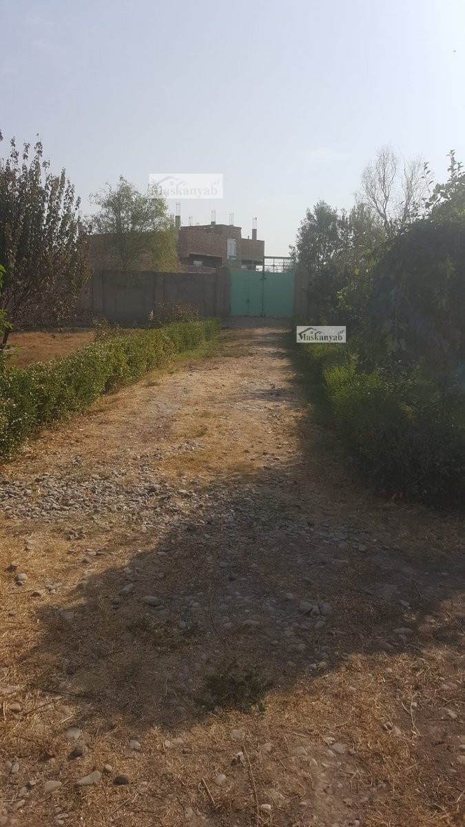 Big garden for sale in Herat province, Afghanistan