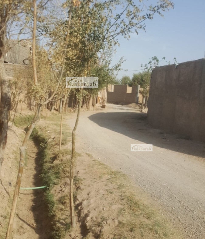 Big garden for sale in Herat province, Afghanistan