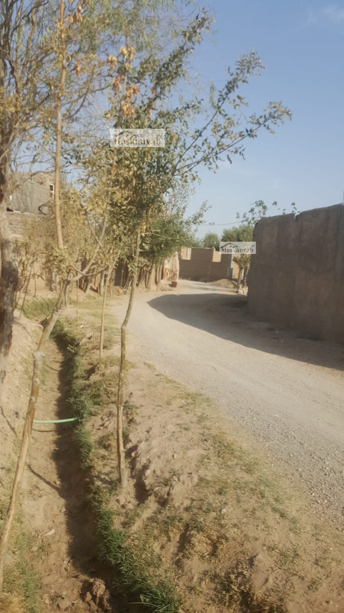 Big garden for sale in Herat province, Afghanistan