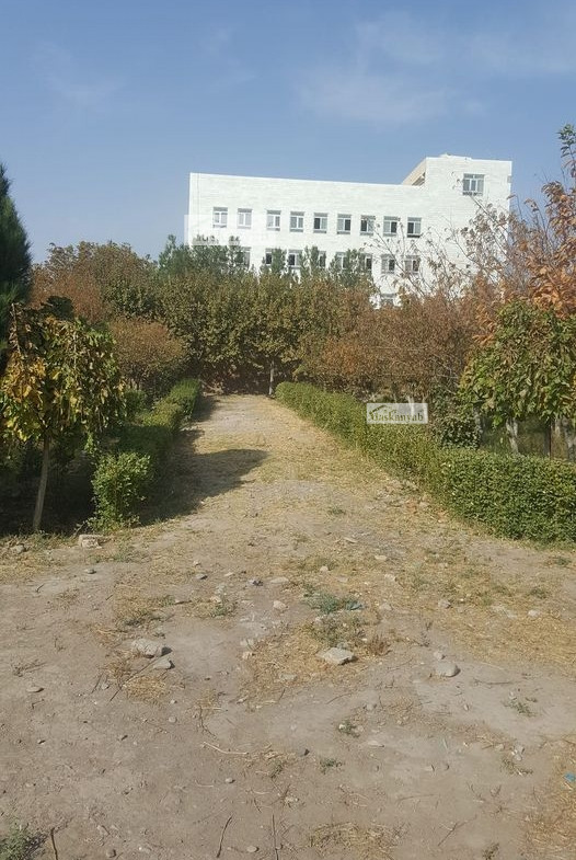 Big garden for sale in Herat province, Afghanistan
