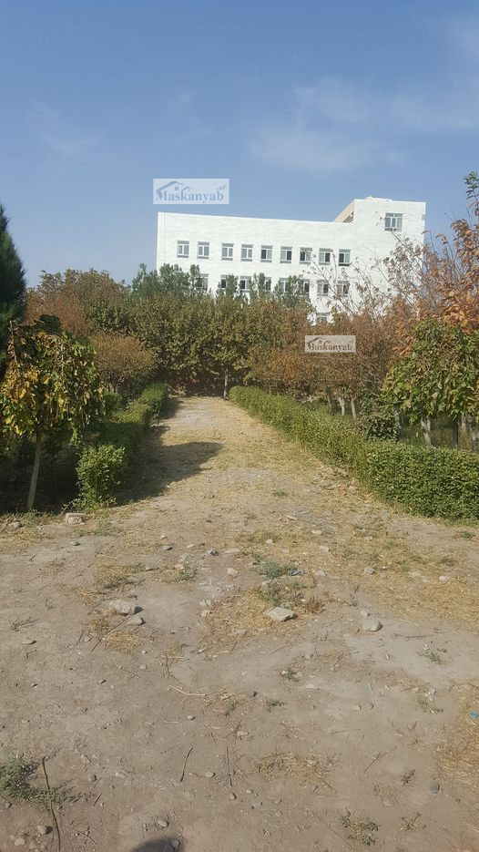 Big garden for sale in Herat province, Afghanistan