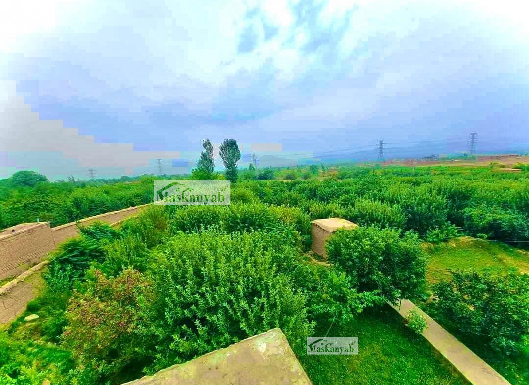 Big land for sale in Shakar Darra district, Kabul