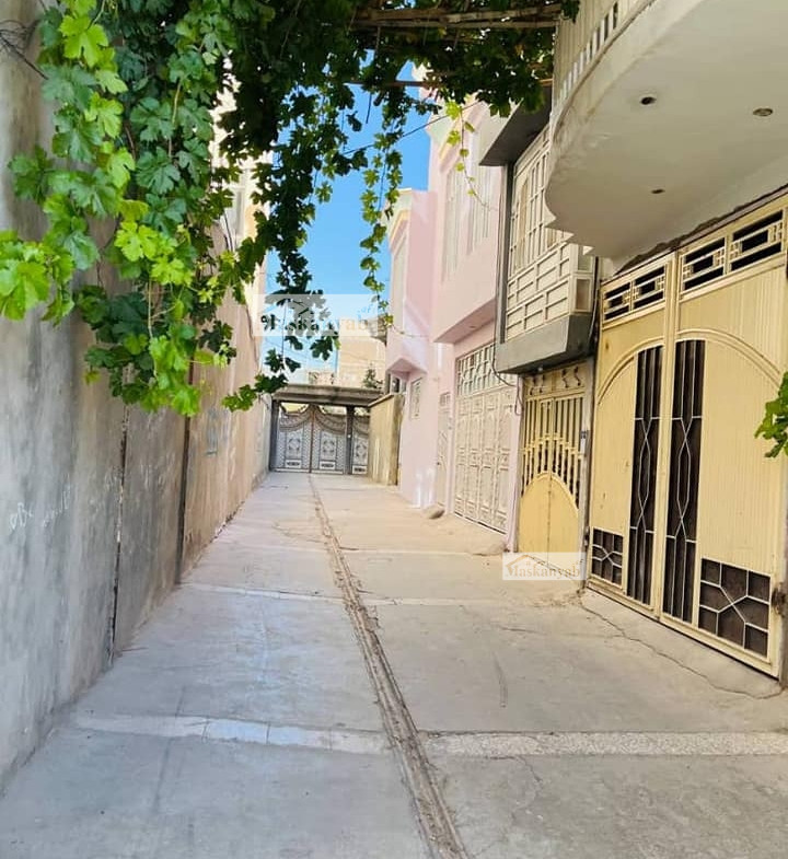 Five-room house for rent at Communication road, Herat