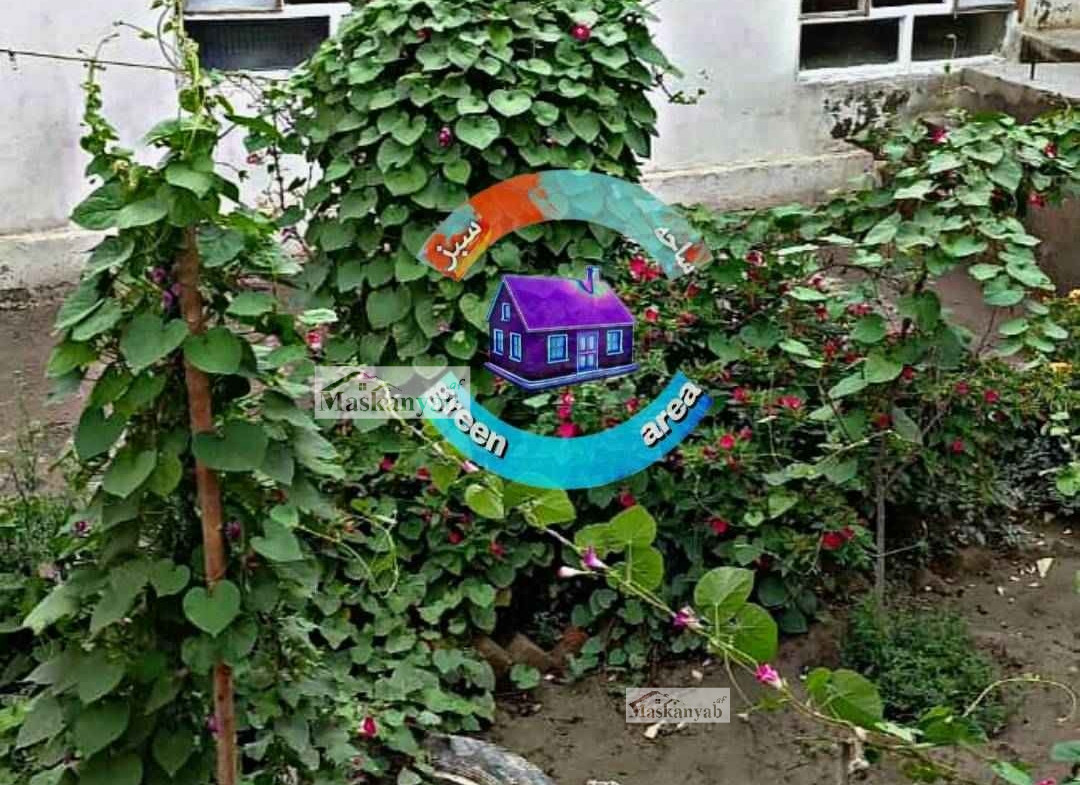 Five-room house is for sale Airport road, Kabul.