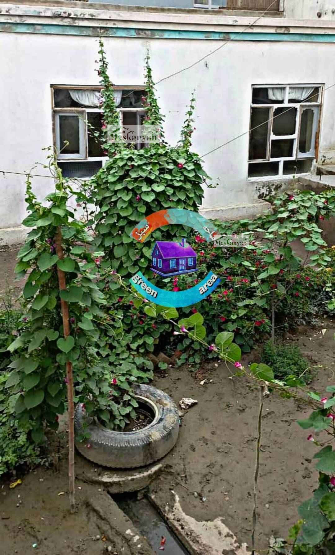 Five-room house is for sale Airport road, Kabul.