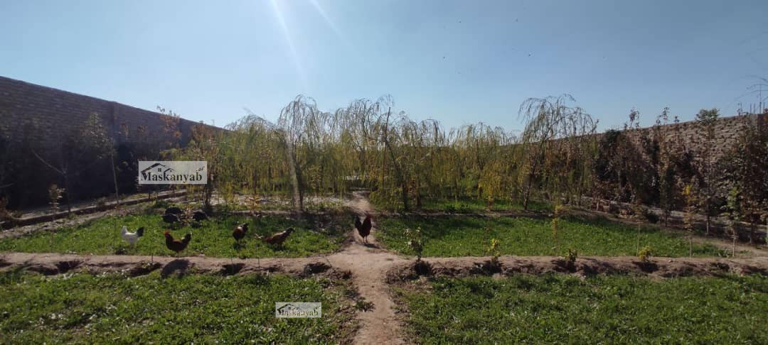 A Garden for sale at Dom Joghra, Herat