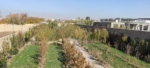 A Garden for sale at Dom Joghra, Herat