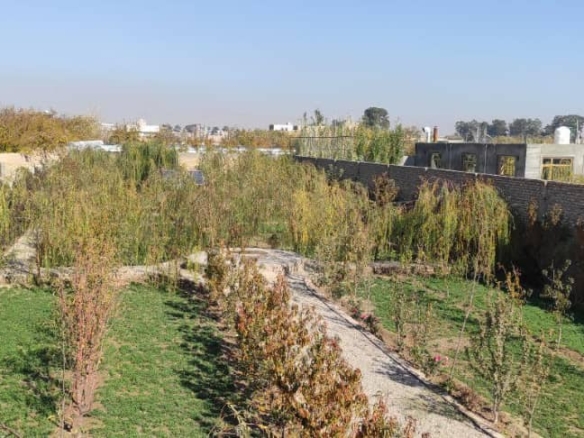 A Garden for sale at Dom Joghra, Herat