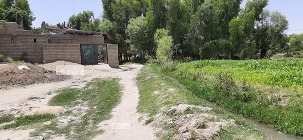Five Biswas land for sale in Laghman Province