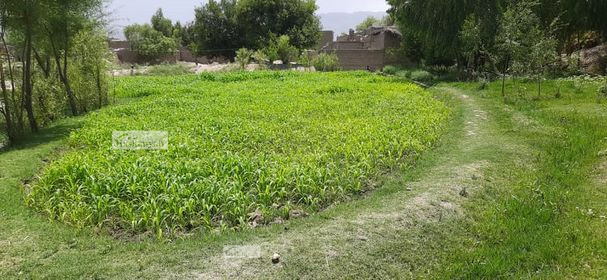 Five Biswas land for sale in Laghman Province