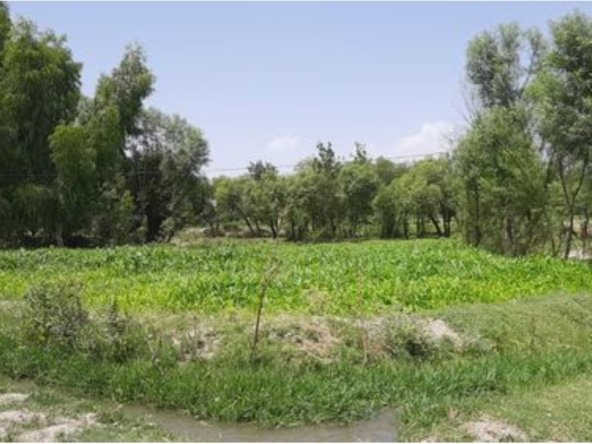 Five Biswas land for sale in Laghman Province