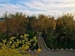 Beautiful garden for sale in Shaidae Town, Herat
