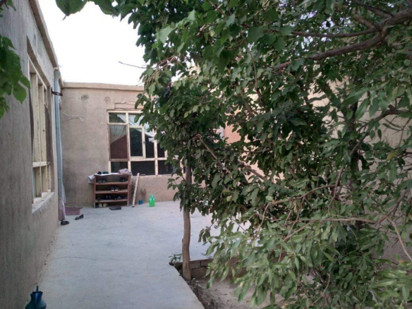 Near the Qahramanan -e Ashora mosque, 40 meters road of Shohada-e Marif, Barchi, Kabul