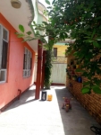 Two houses for sale in Dogh Abad, Kabul