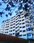 One portion of this building for sale in Qala-e Fatihullah