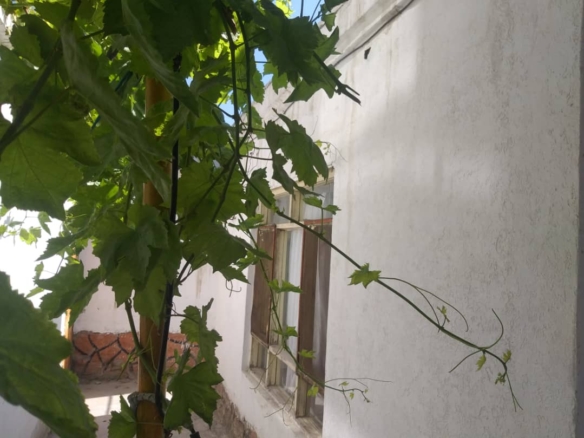 Seven rooms house for mortgage in Old Taimani, Kabul