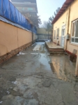 Six-room house for rent in Shahr-e New, Kabul