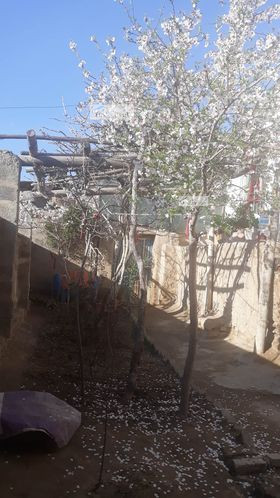 Two-room house for sale urgently at 500 Families area