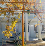 Three-floor house for sale in Chehel Sotun, Kabul