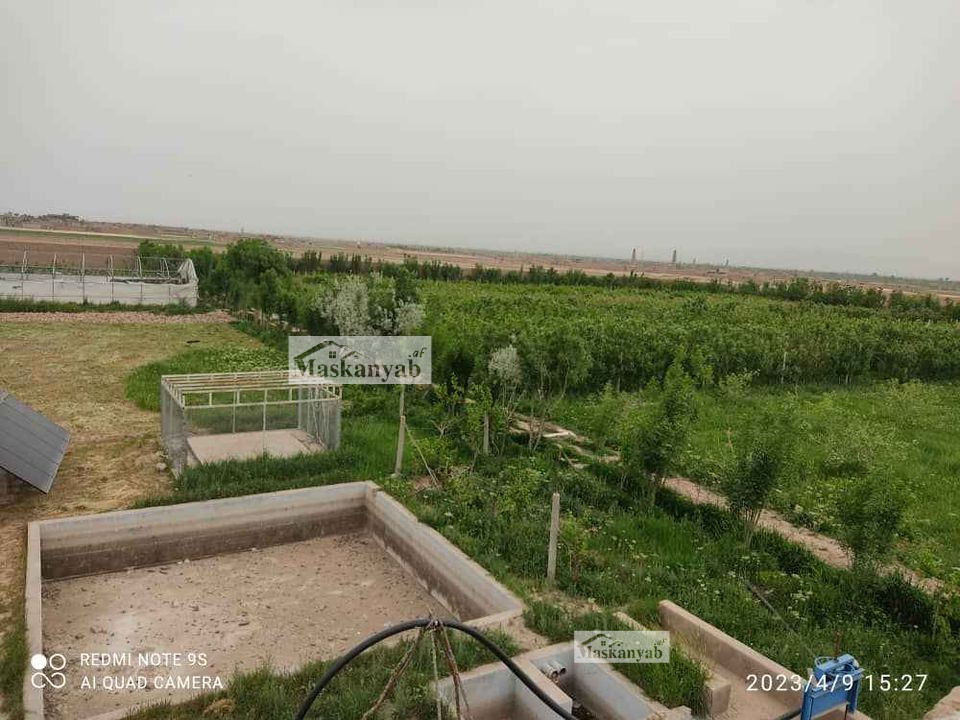 Big garden for sale at Sarak-e Pol Hashimi, Herat