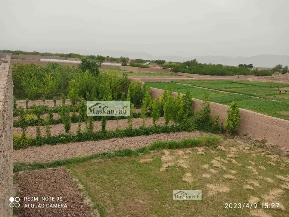 Big garden for sale at Sarak-e Pol Hashimi, Herat