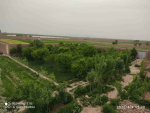 Big garden for sale at Sarak-e Pol Hashimi, Herat