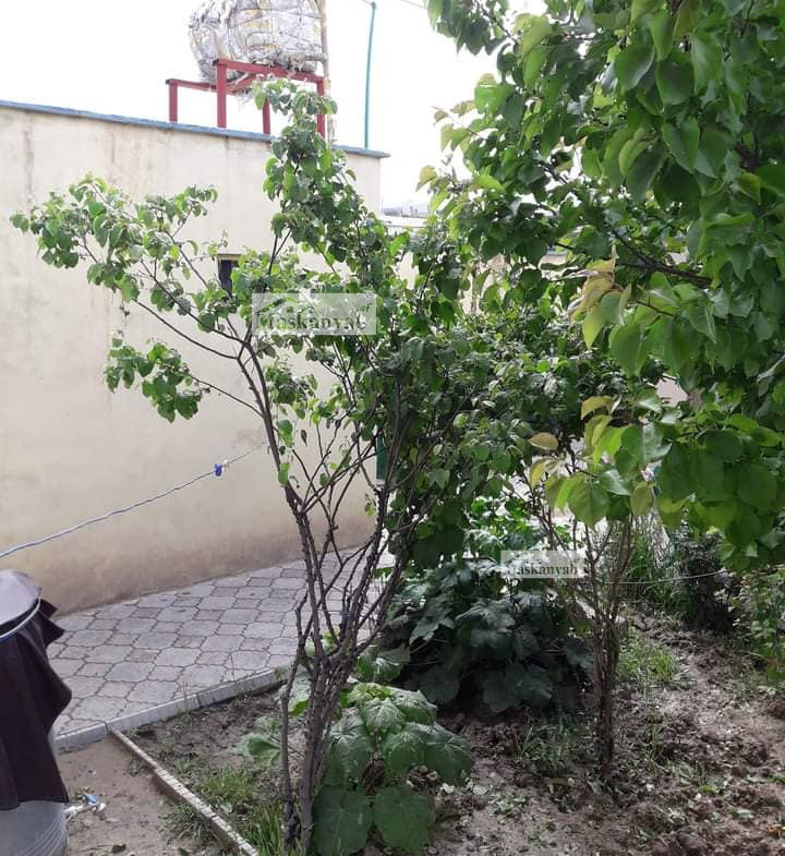 Four-room house for sale in Gula-e Khawja Boghra, Kabul